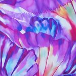 Fuxia Fantasia
